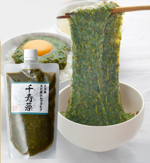 玄界灘天然無添加 アカモク千寿藻