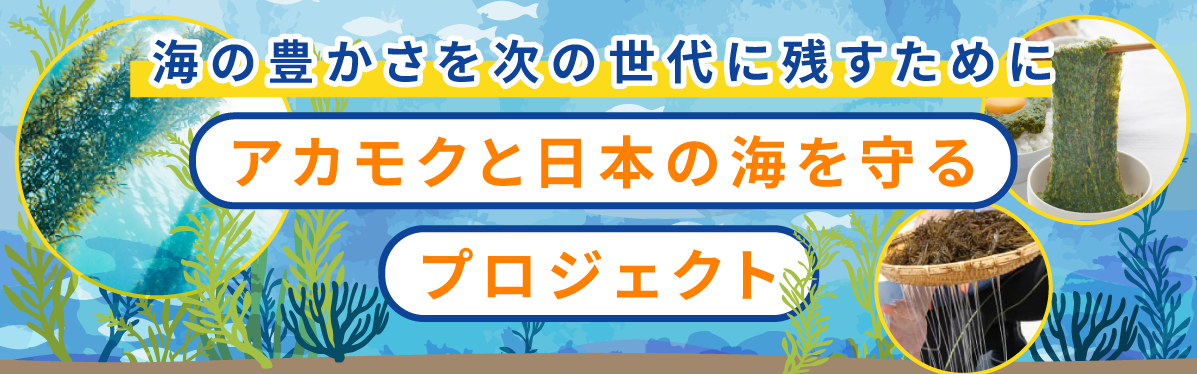 アカモクと日本の海を守るプロジェクト